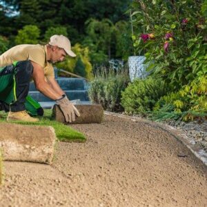 garden-worker-installing-fresh-natural-grass-turfs-2026-01-09-00-02-52-utc_420x420